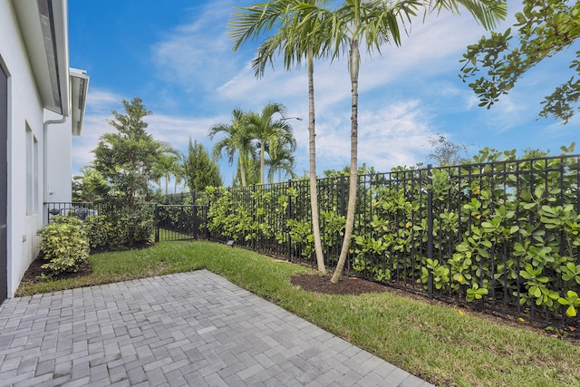 view of yard featuring a patio area