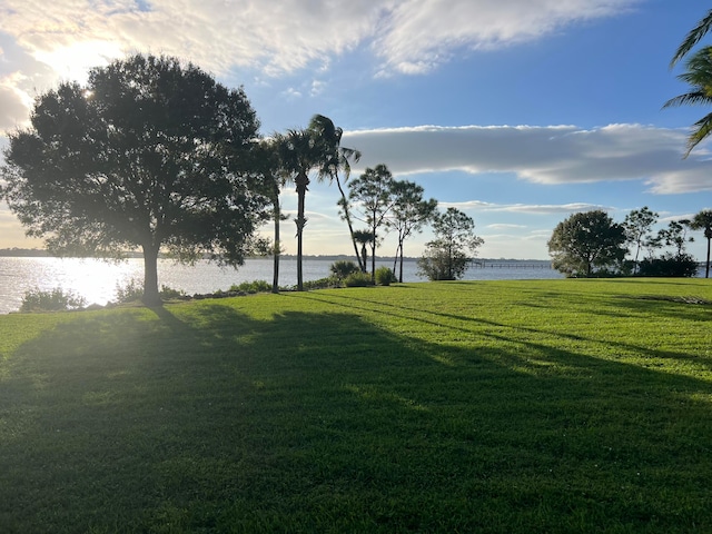 view of yard with a water view