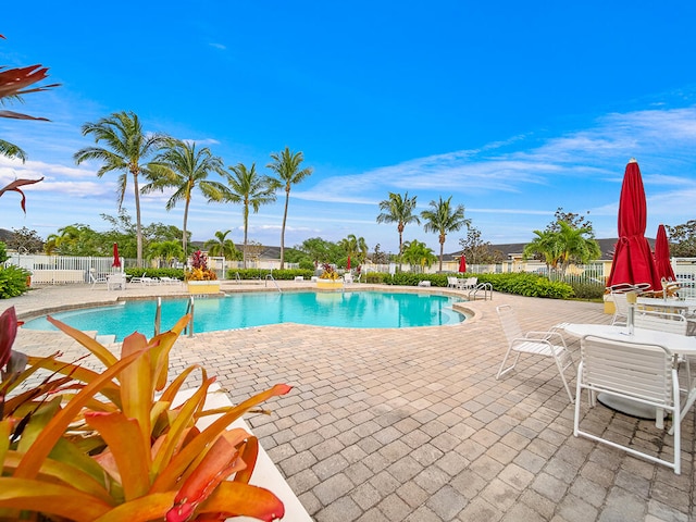 view of swimming pool with a patio