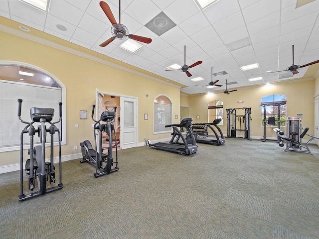 exercise room with crown molding, a paneled ceiling, and carpet flooring