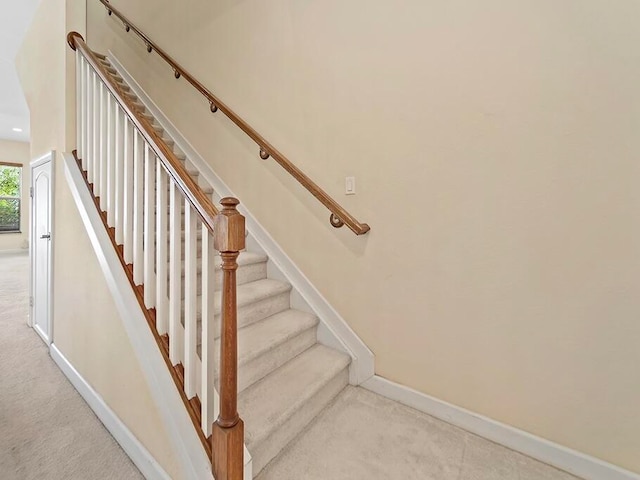 stairs featuring carpet floors