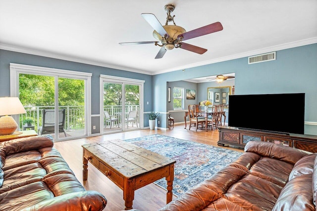 living room featuring light hardwood / wood-style flooring, ceiling fan, and crown molding