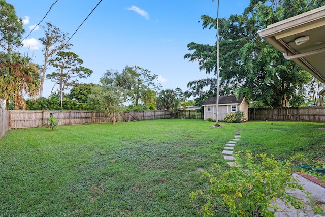 view of yard with a shed