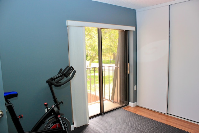 workout room featuring a textured ceiling and hardwood / wood-style flooring