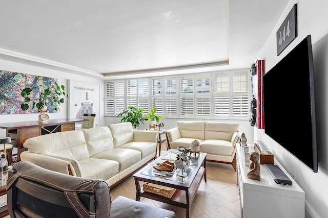 living room featuring light hardwood / wood-style floors