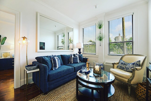 living room featuring ornamental molding and dark hardwood / wood-style floors