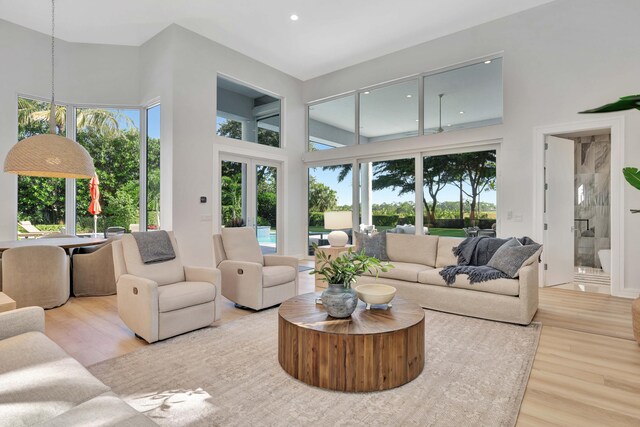 living room with hardwood / wood-style flooring and a high ceiling