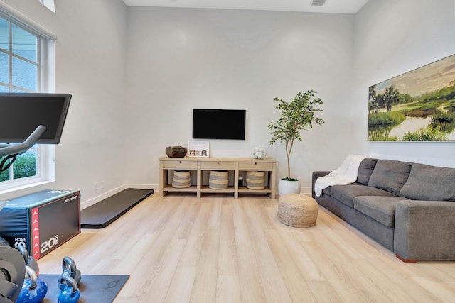 living room featuring light hardwood / wood-style flooring