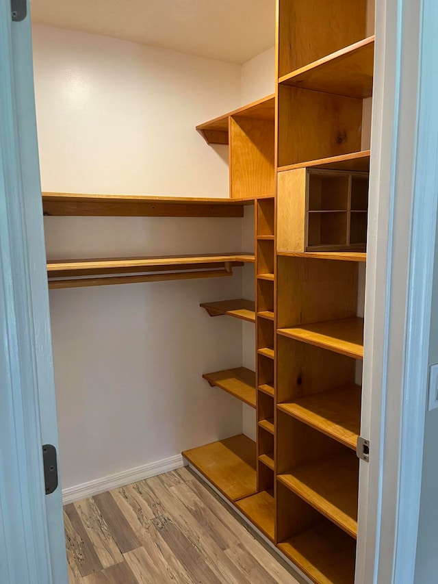 walk in closet featuring wood-type flooring