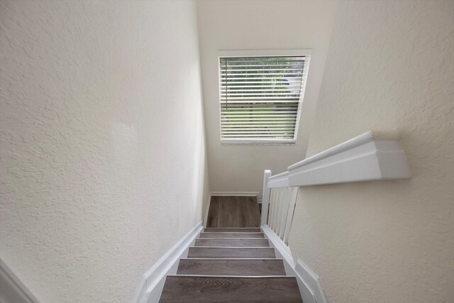 exercise room featuring hardwood / wood-style floors