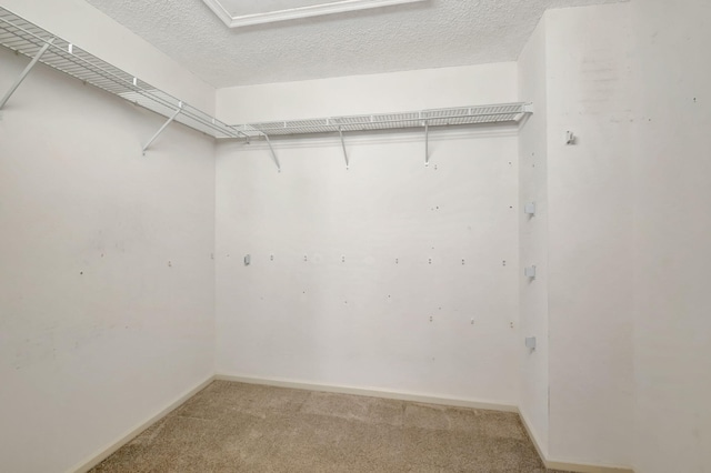 walk in closet with light colored carpet