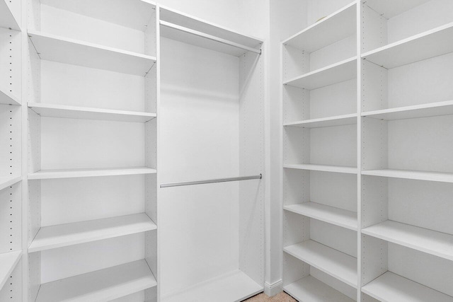 view of spacious closet