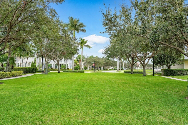 view of community featuring a lawn