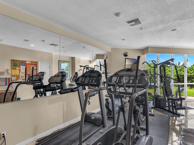 exercise room with a textured ceiling and plenty of natural light