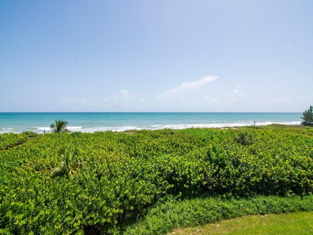 view of water feature featuring a beach view