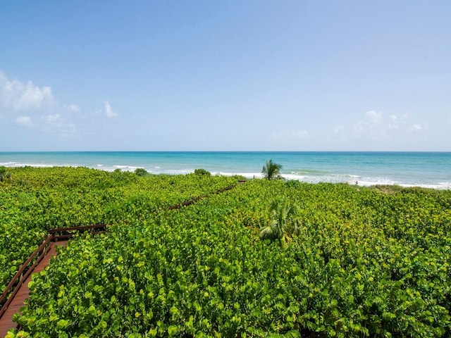 water view with a beach view