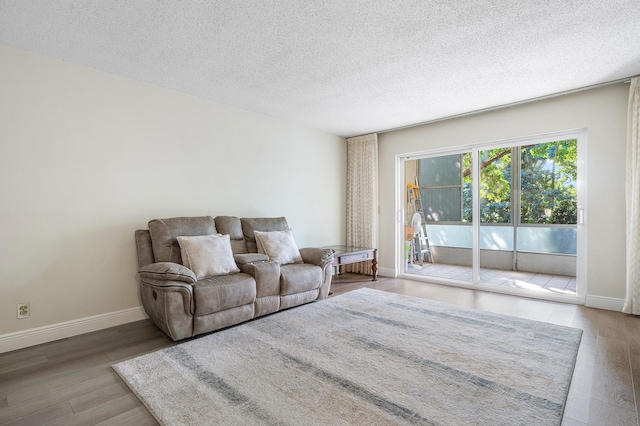 living room with a textured ceiling and hardwood / wood-style flooring