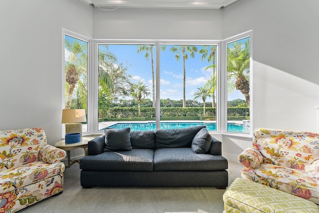 living room with carpet