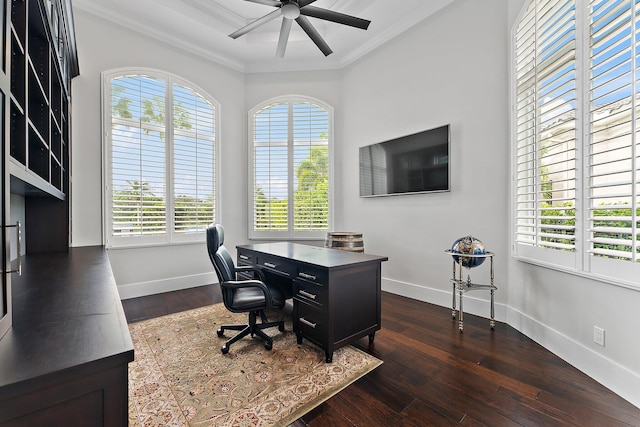 office featuring dark hardwood / wood-style floors, plenty of natural light, ceiling fan, and ornamental molding