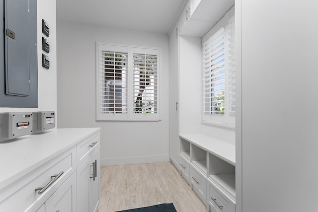 interior space featuring wood-type flooring and electric panel