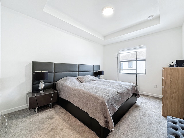 carpeted bedroom with a raised ceiling