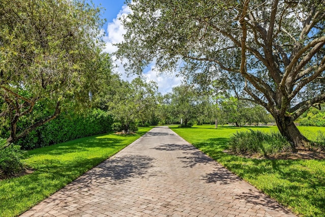 view of property's community with a yard