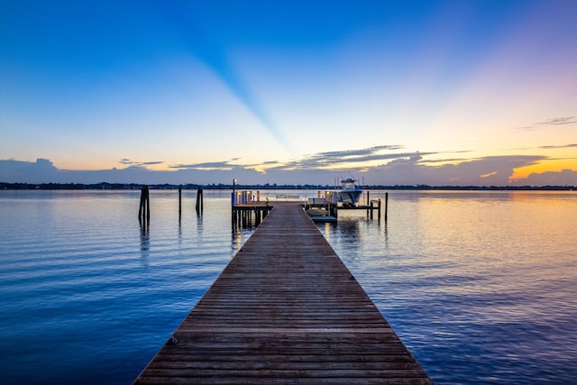 dock area with a water view