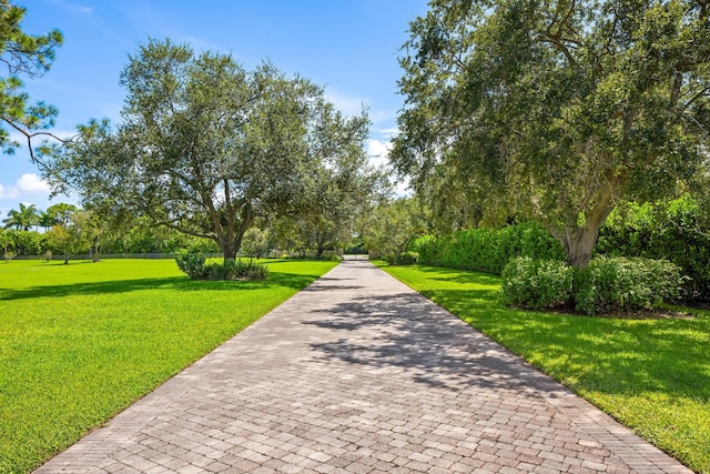 surrounding community featuring a lawn