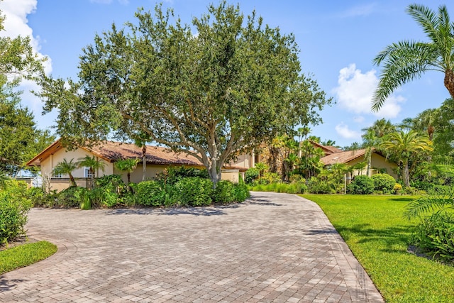 view of front of property with a front lawn