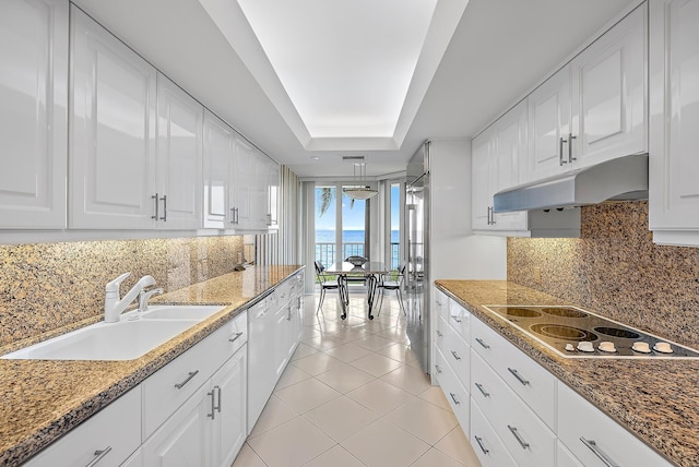 kitchen with under cabinet range hood, white cabinetry, and a sink