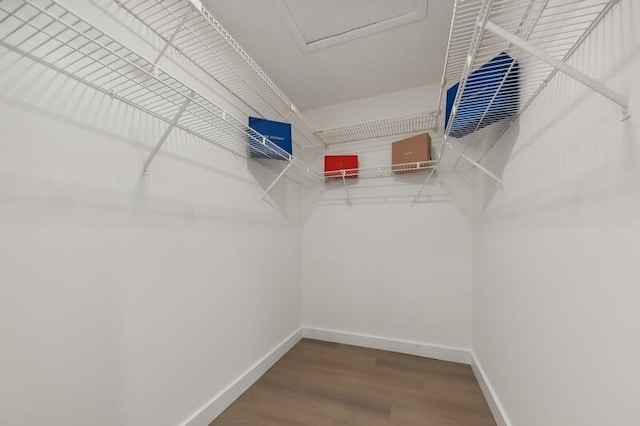 walk in closet with wood-type flooring