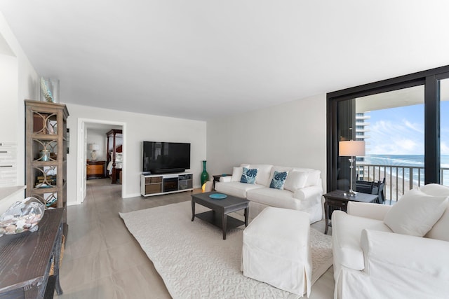 living room with expansive windows