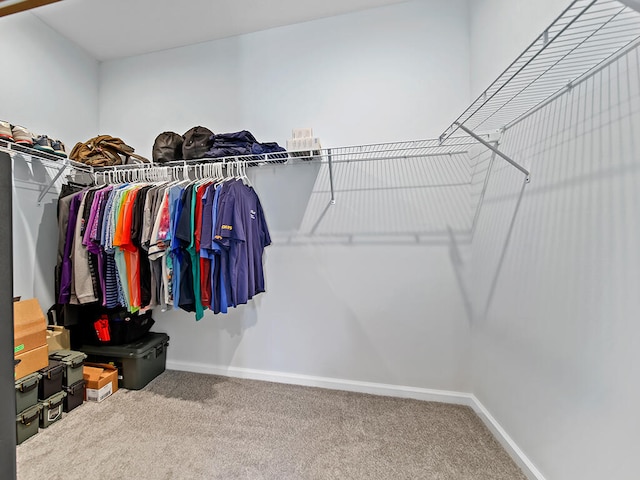 walk in closet featuring carpet floors