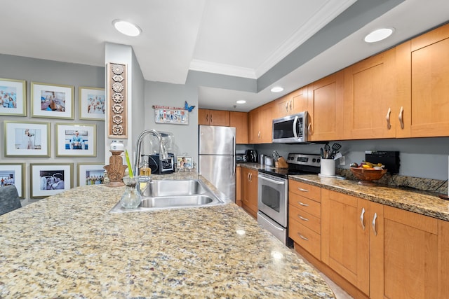 kitchen with a raised ceiling, crown molding, stainless steel appliances, and light stone counters