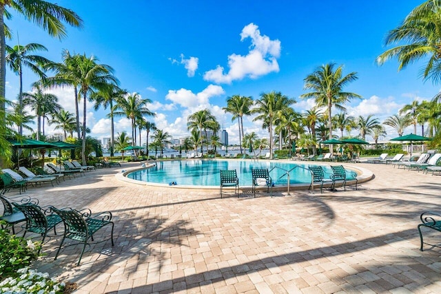 view of swimming pool with a patio area