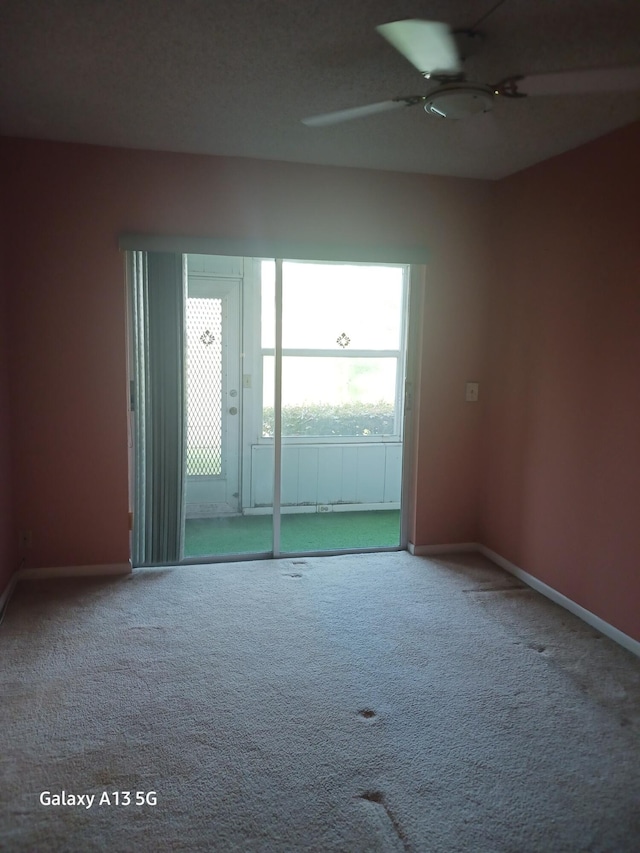 spare room with carpet floors and ceiling fan