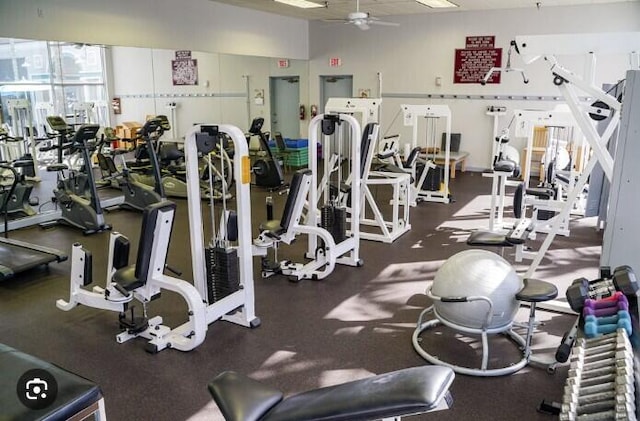 workout area with ceiling fan