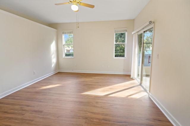 unfurnished room featuring light wood-type flooring and ceiling fan