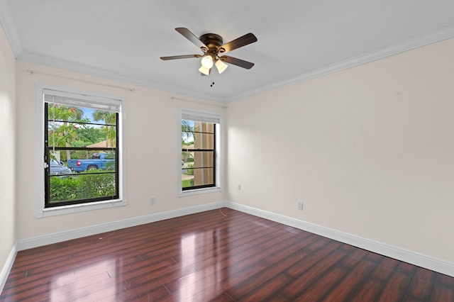 spare room featuring crown molding, ceiling fan, and dark hardwood / wood-style flooring