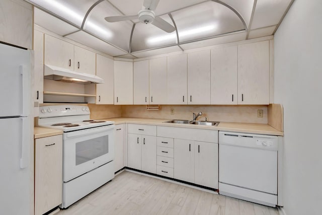 kitchen with ceiling fan, sink, light hardwood / wood-style floors, and white appliances