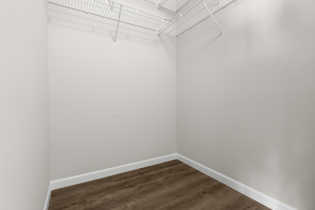 spacious closet featuring dark hardwood / wood-style floors