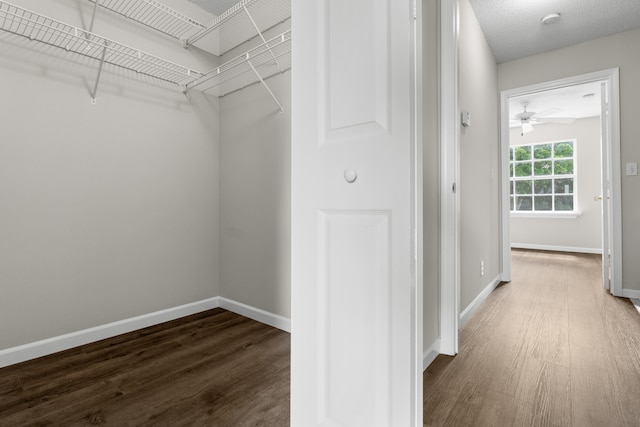 walk in closet featuring dark hardwood / wood-style floors and ceiling fan