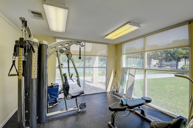 exercise room featuring expansive windows