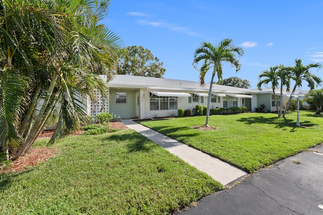 ranch-style home featuring a front lawn