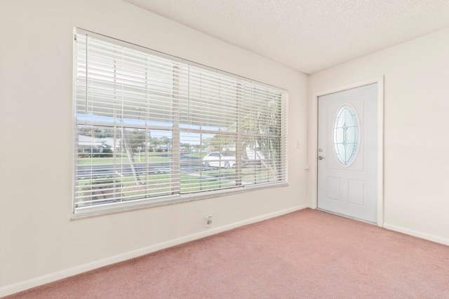 carpeted foyer with a textured ceiling and plenty of natural light