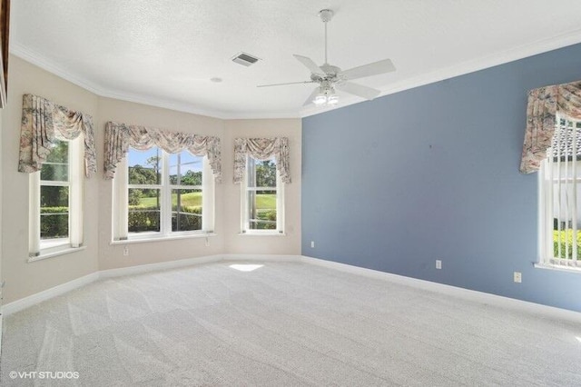 empty room featuring ornamental molding and a wealth of natural light