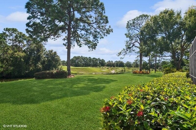 view of property's community featuring a lawn