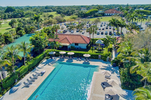 view of swimming pool featuring a patio