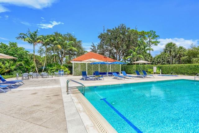 view of pool featuring a patio