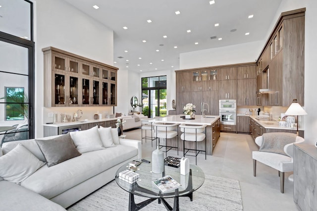 living room featuring a high ceiling and sink